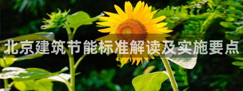 e尊国际官方网站：北京建筑节能标准解读及实施要点