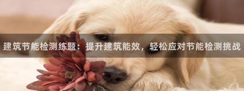 e尊国际网址：建筑节能检测练题：提升建筑能效，轻松应对节能检测挑战
