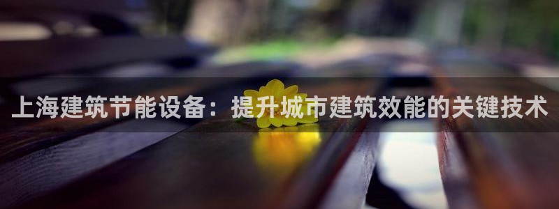 e尊国际的手机登录网站：上海建筑节能设备：提升城市建筑效能的关键技术