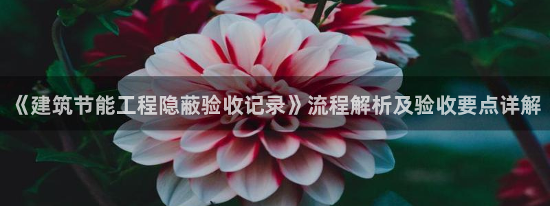 e尊平台：《建筑节能工程隐蔽验收记录》流程解析及验收要点详解