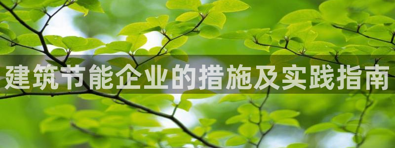 e尊国际官网