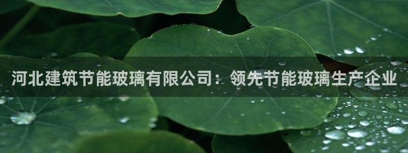 e尊国际的手机登录网站：河北建筑节能玻璃有限公司：领先节能玻璃生产企业