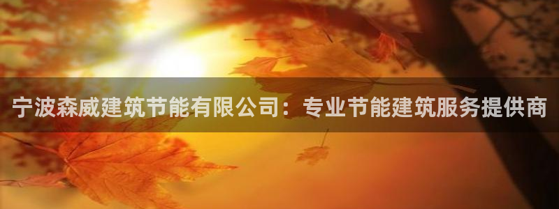 e尊国际app：宁波森威建筑节能有限公司：专业节能建筑服务提供商