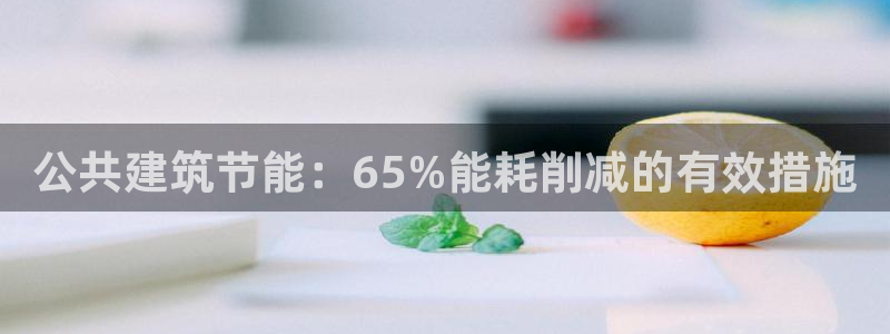 e尊国际app：公共建筑节能：65%能耗削减的有效措施