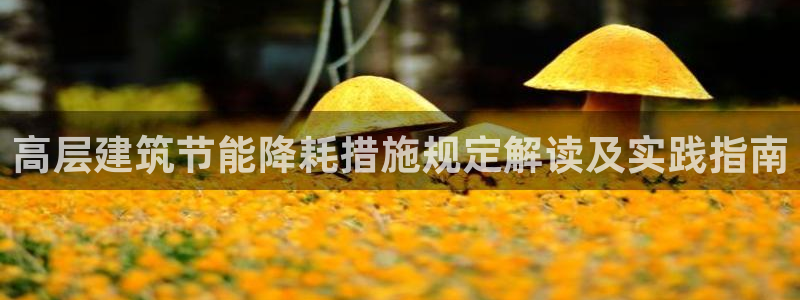 e尊国际是个黑网