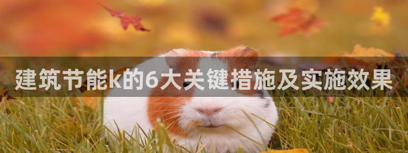 e尊国际平台