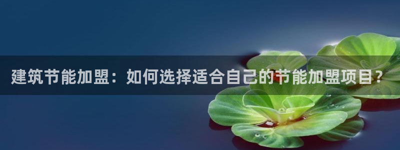 E尊国际网站：建筑节能加盟：如何选择适合自己的节能加盟项目？