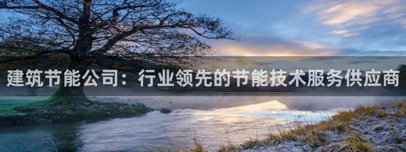 e尊国际是个黑网：建筑节能公司：行业领先的节能技术服务供应商