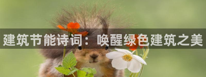 e尊官网