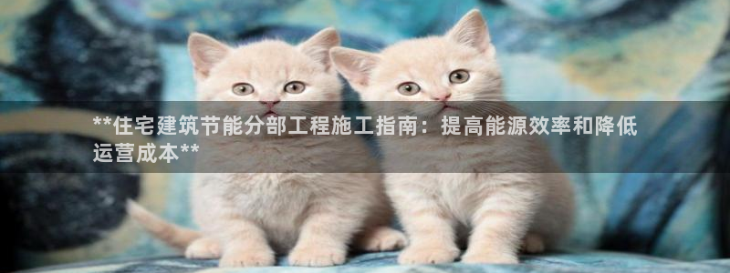 e尊国际app：**住宅建筑节能分部工程施工指南：提高能源效率和降低
运营成本**
