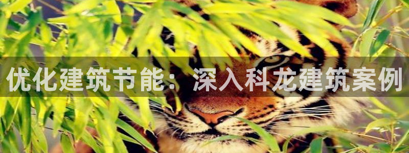 e尊国际官网app：优化建筑节能：深入科龙建筑案例