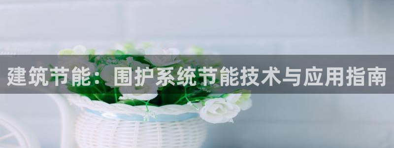 e尊国际app：建筑节能：围护系统节能技术与应用指南