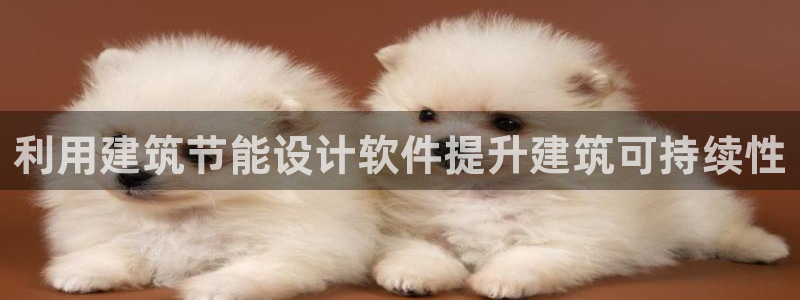 e尊国际娱乐官网下载：利用建筑节能设计软件提升建筑可持续性