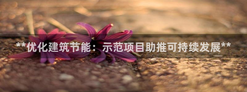 谁知道e尊国际的网址：**优化建筑节能：示范项目助推可持续发展**