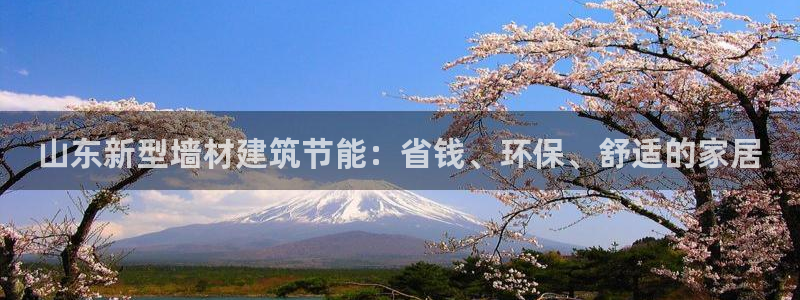 e尊国际娱乐官网下载：山东新型墙材建筑节能：省钱、环保、舒适的家居
