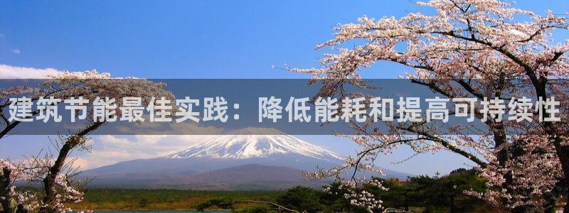 e尊国际客户端：建筑节能最佳实践：降低能耗和提高可持续性