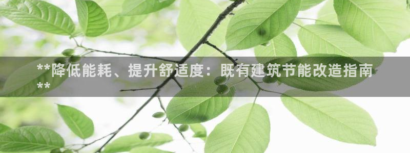 e尊国际官网app：**降低能耗、提升舒适度：既有建筑节能改造指南
**