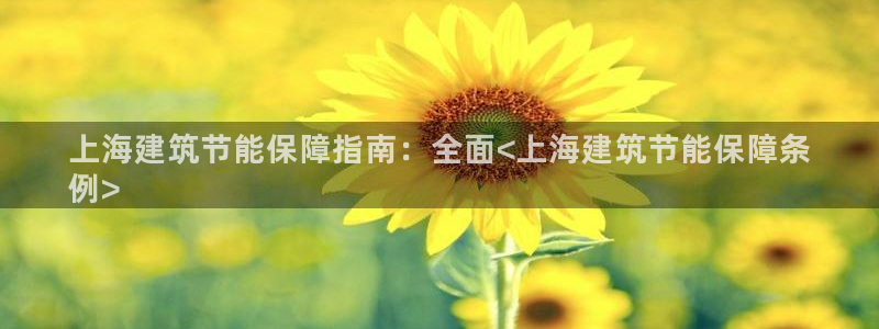 e尊官网：上海建筑节能保障指南：全面<上海建筑节能保障条
例>