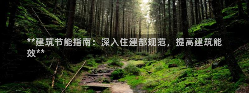 e尊国际网址