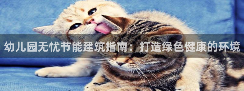 e尊国际-可可计划