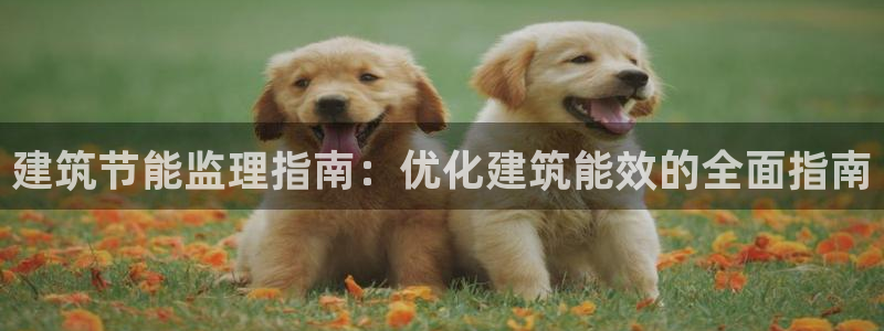 谁知道e尊国际的网址：建筑节能监理指南：优化建筑能效的全面指南