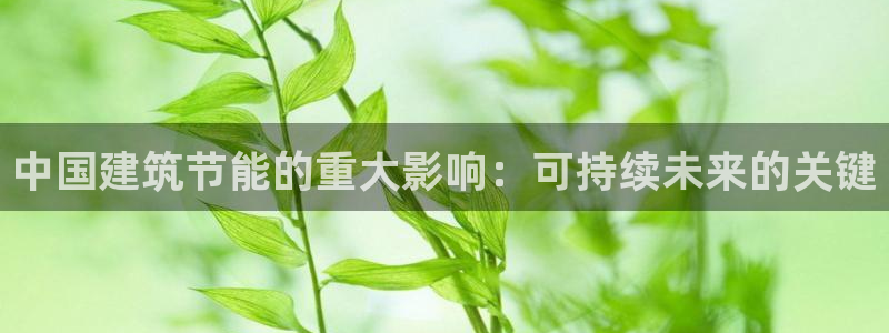 e尊官网：中国建筑节能的重大影响：可持续未来的关键