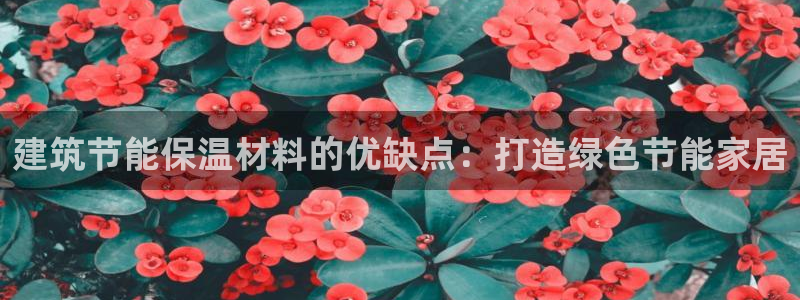 e尊国际娱乐官网地址：建筑节能保温材料的优缺点：打造绿色节能家居