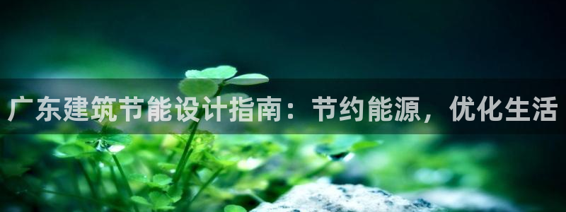 e尊国际-e尊国际官网：广东建筑节能设计指南：节约能源，优化生活