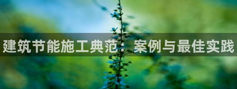 e尊国际可靠吗：建筑节能施工典范：案例与最佳实践