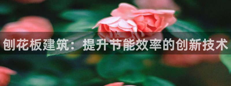 e尊国际官网·网址：刨花板建筑：提升节能效率的创新技术