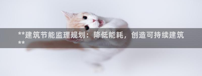 e尊国际平台：**建筑节能监理规划：降低能耗，创造可持续建筑
**