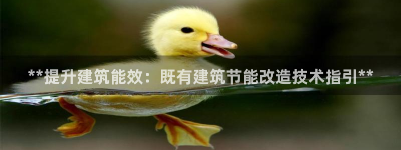 e尊国际平台：**提升建筑能效：既有建筑节能改造技术指引**