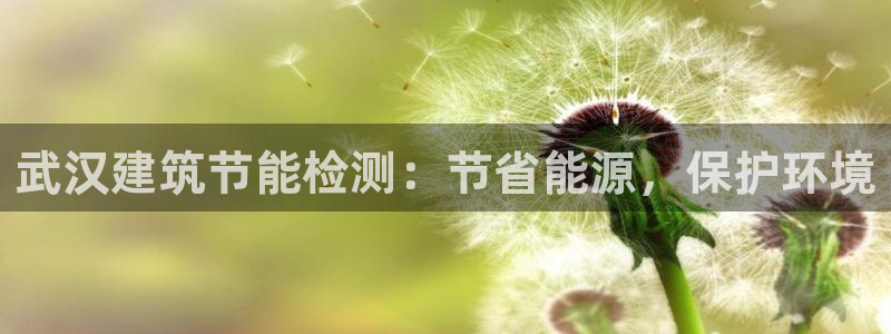 e尊国际娱乐官网地址：武汉建筑节能检测：节省能源，保护环境