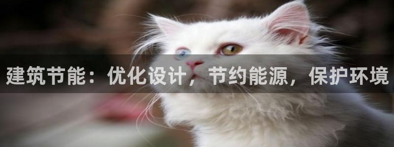 e尊国际官网：建筑节能：优化设计，节约能源，保护环境