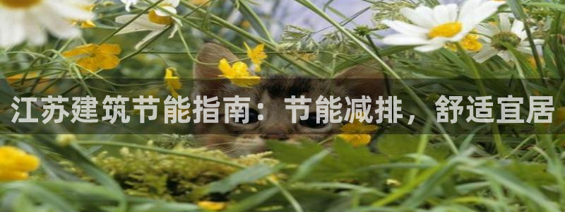e尊国际官网app：江苏建筑节能指南：节能减排，舒适宜居
