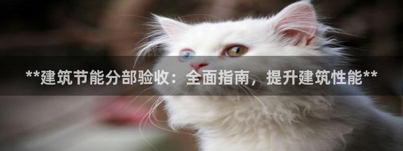 e尊国际客户端：**建筑节能分部验收：全面指南，提升建筑性能**