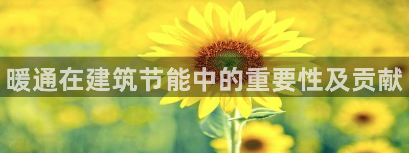 e尊国际可靠吗：暖通在建筑节能中的重要性及贡献