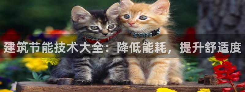e尊国际娱乐官网地址