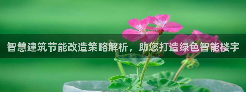 E尊国际网站