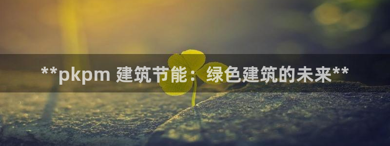 谁知道e尊国际的网址：**pkpm 建筑节能：绿色建筑的未来**