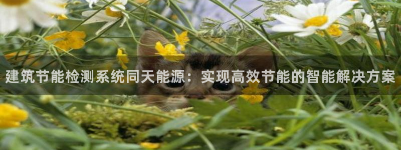 E尊国际：建筑节能检测系统同天能源：实现高效节能的智能解决方案