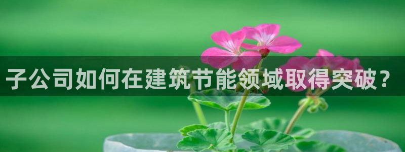e尊电竞：子公司如何在建筑节能领域取得突破？