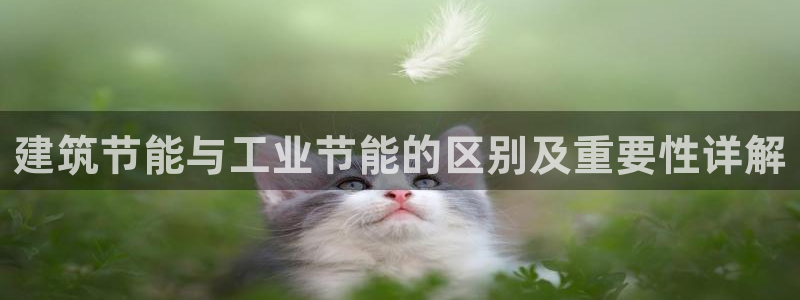 e尊国际可靠吗：建筑节能与工业节能的区别及重要性详解