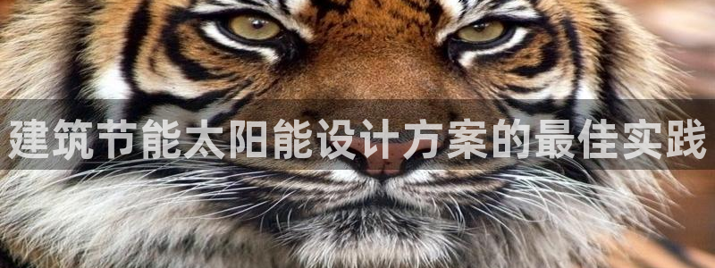 e尊国际娱乐官网地址：建筑节能太阳能设计方案的最佳实践
