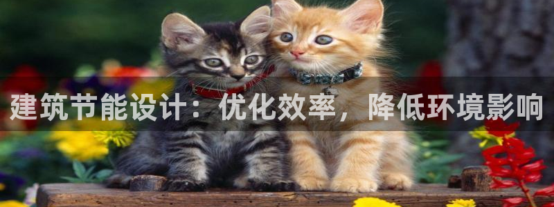 e尊国际客户端：建筑节能设计：优化效率，降低环境影响