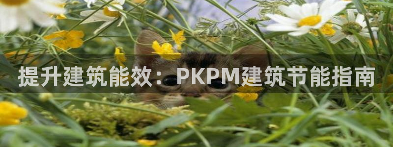 e尊国际可靠吗：提升建筑能效：PKPM建筑节能指南