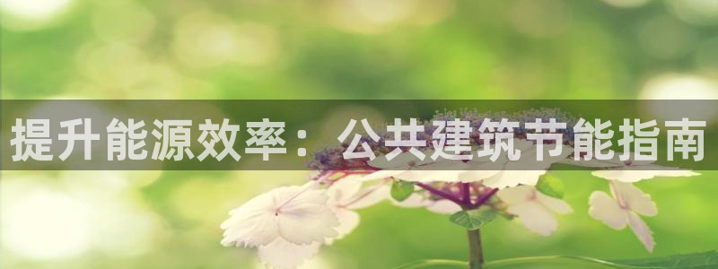 e尊国际娱乐官网下载：提升能源效率：公共建筑节能指南