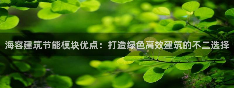 e尊国际是个黑网：海容建筑节能模块优点：打造绿色高效建筑的不二选择