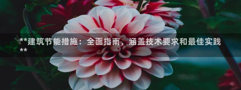 E尊国际网站：**建筑节能措施：全面指南，涵盖技术要求和最佳实践
**