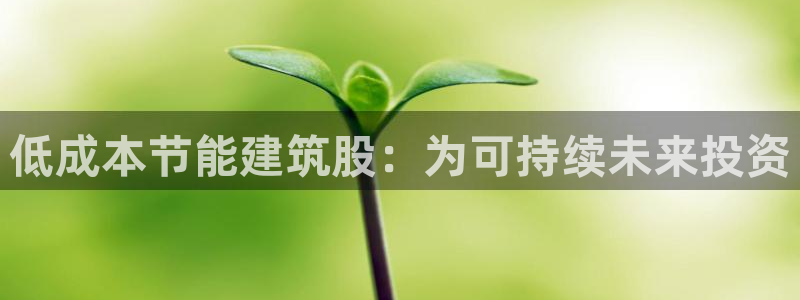 e尊电竞：低成本节能建筑股：为可持续未来投资